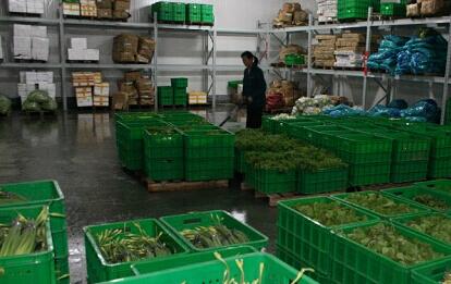 奉化微觀氣調(diào)保鮮蔬菜冷庫有什么特點