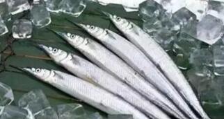 凍魚(yú)冷庫(kù)