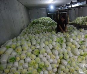 寧波蔬菜冷庫造價(jià)需要多少錢？
