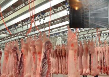 100平米左右的凍肉冷庫造價需要多少錢？
